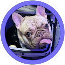 Elizabeth O. profile picture
